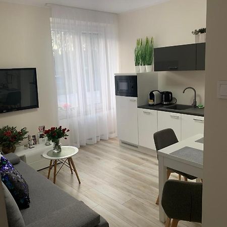 גורז'וב ווילקופולסקי Apartament Walczaka 11 Miejsce Parkingowe מראה חיצוני תמונה